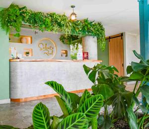 Salento Real Eje Cafetero Hotel Salento Real Eje Cafetero Hotel Quindío Salento Real Eje Cafetero Hotel Salento Real Eje Cafetero Hotel Quindío